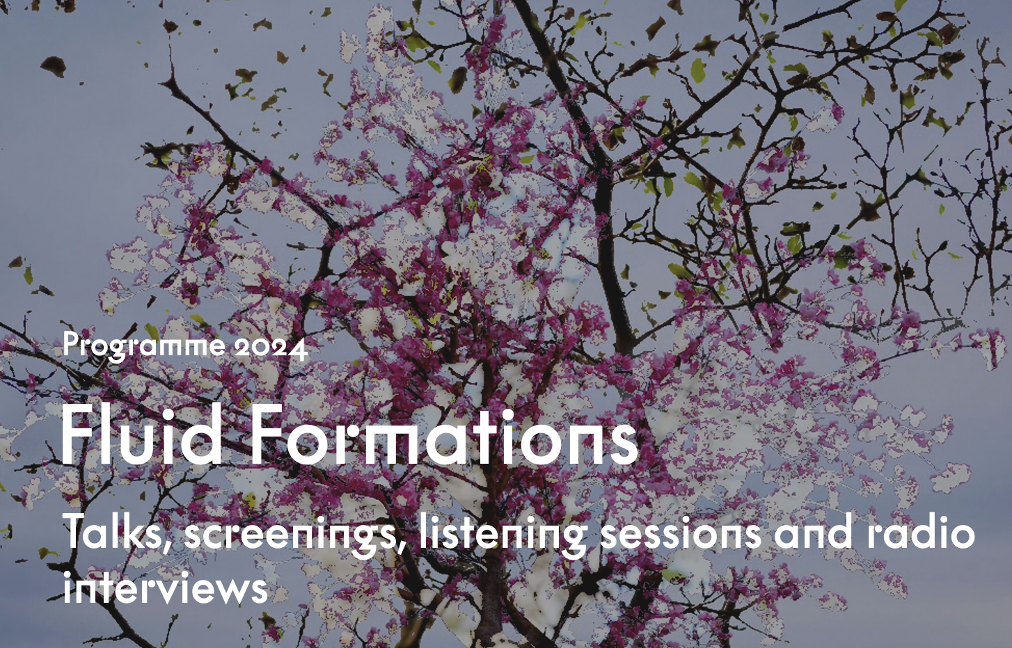 Fluid Formations: talks, screenings, listening sessions and radio interviews at Ultima 2024 